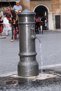 er-nasone-247x370 | Fonderie Lamperti